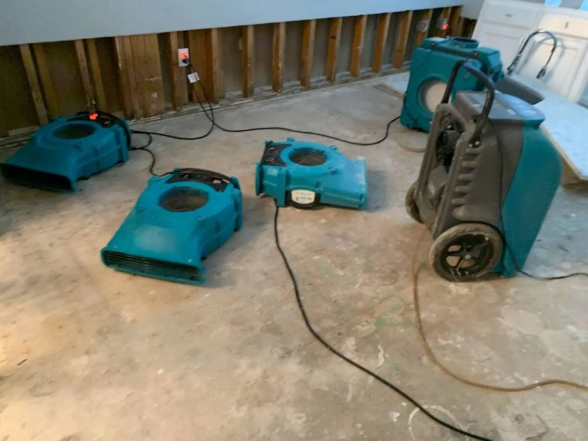 Water Mitigation Services in Red Wing, MN